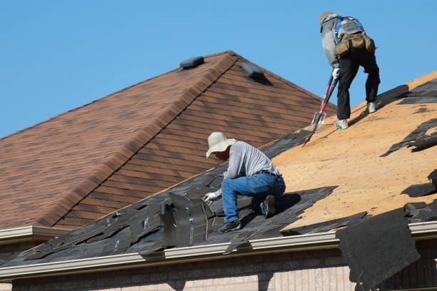 Best Roof Maintenance and Cleaning  in Colonial Pine Hills, SD