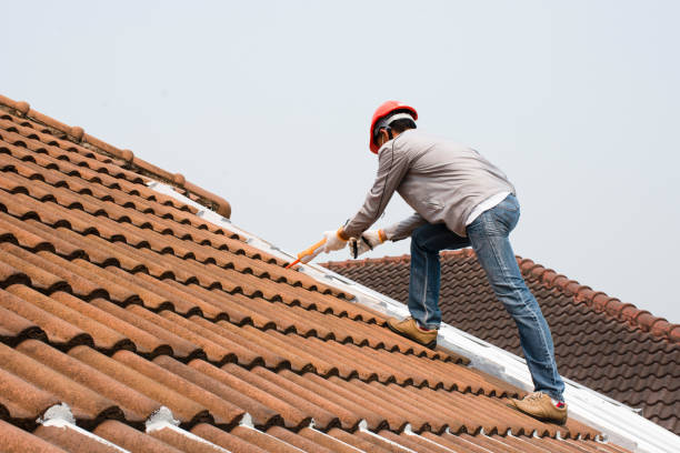 Best Roof Coating and Sealing  in Colonial Pine Hills, SD